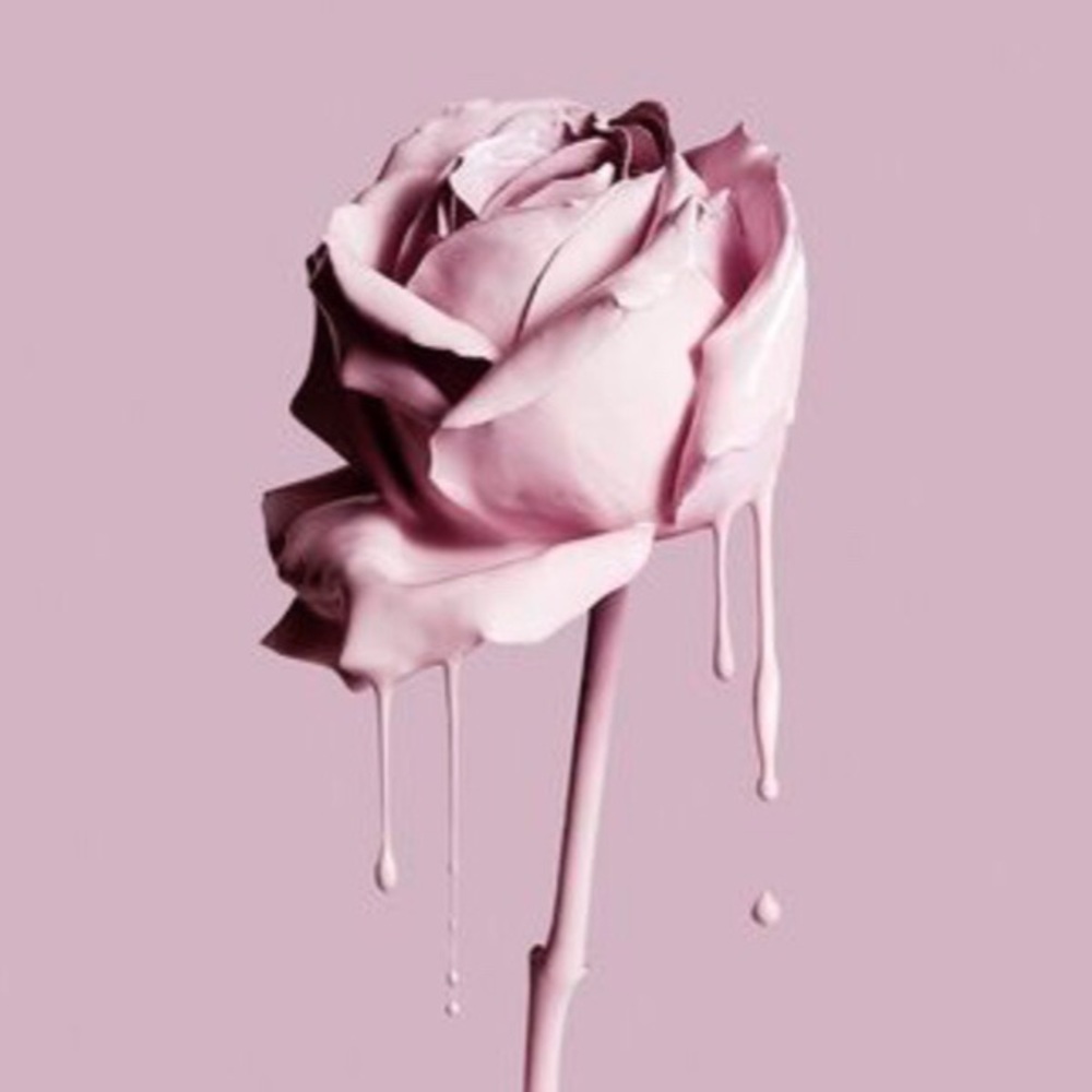 Meet your Posher, Rebekah